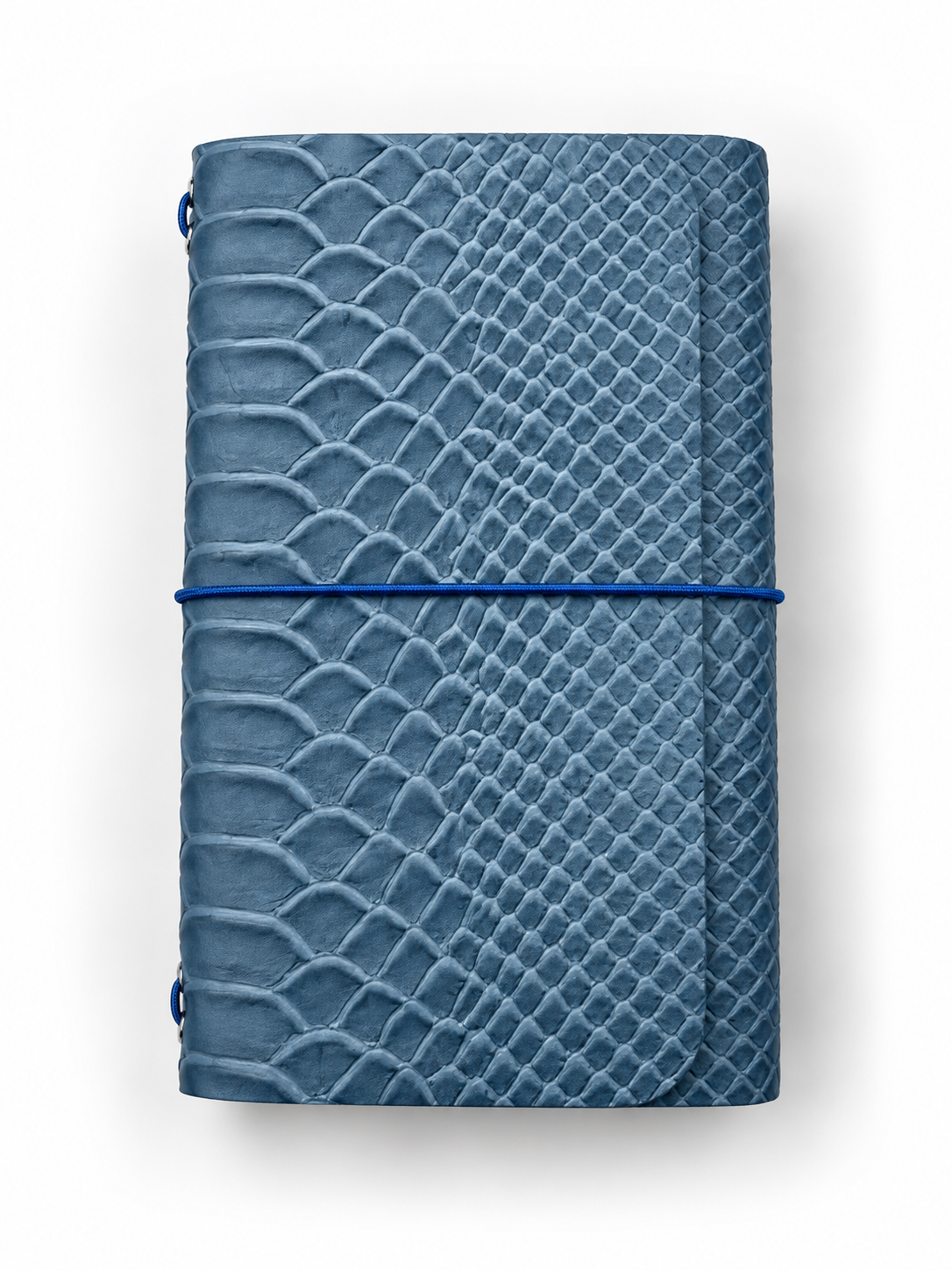 B7 Python Blue – Ready Made