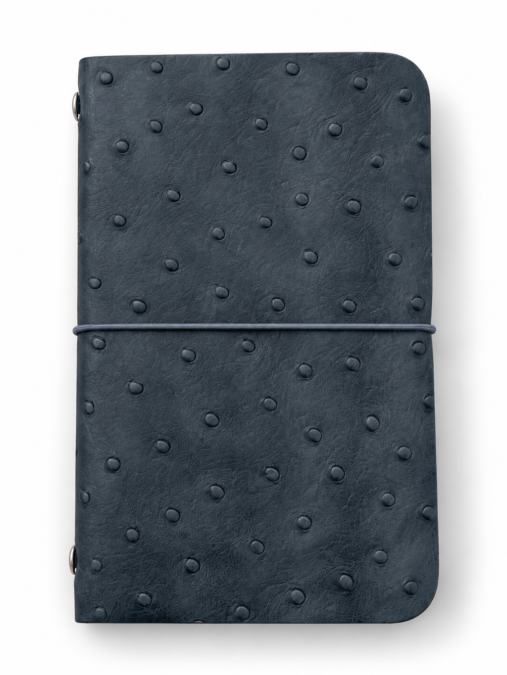 B7 Ostrich Cloudy Blue  – Ready Made