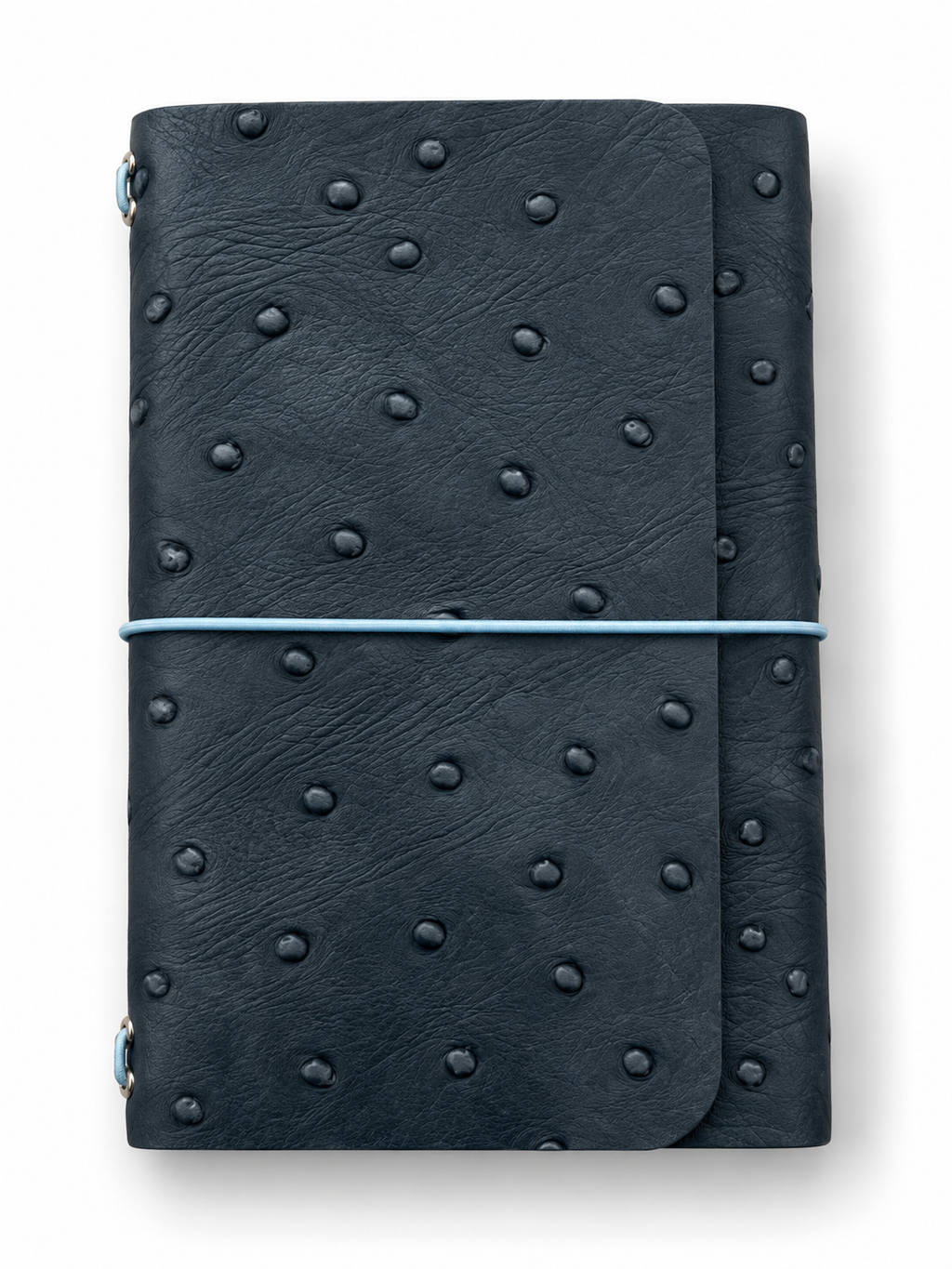 B7 Ostrich Cloudy Blue  – Ready Made
