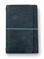 B7 Ostrich Cloudy Blue  – Ready Made