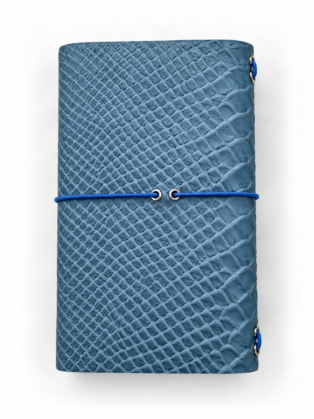B7 Python Blue – Ready Made