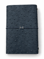 B7 Ostrich Cloudy Blue  – Ready Made