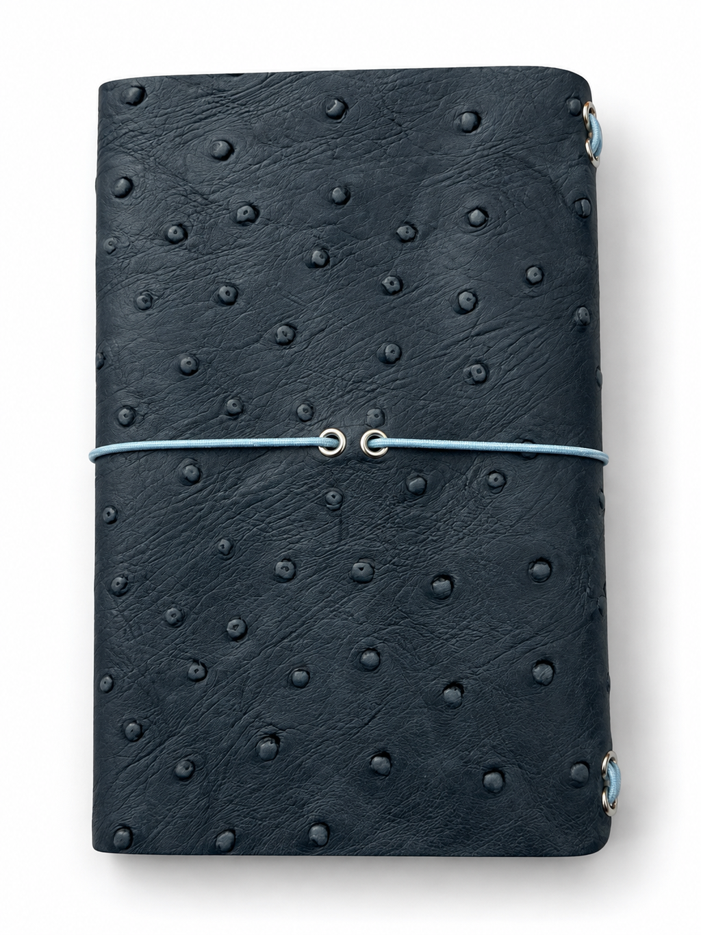 B7 Ostrich Cloudy Blue  – Ready Made