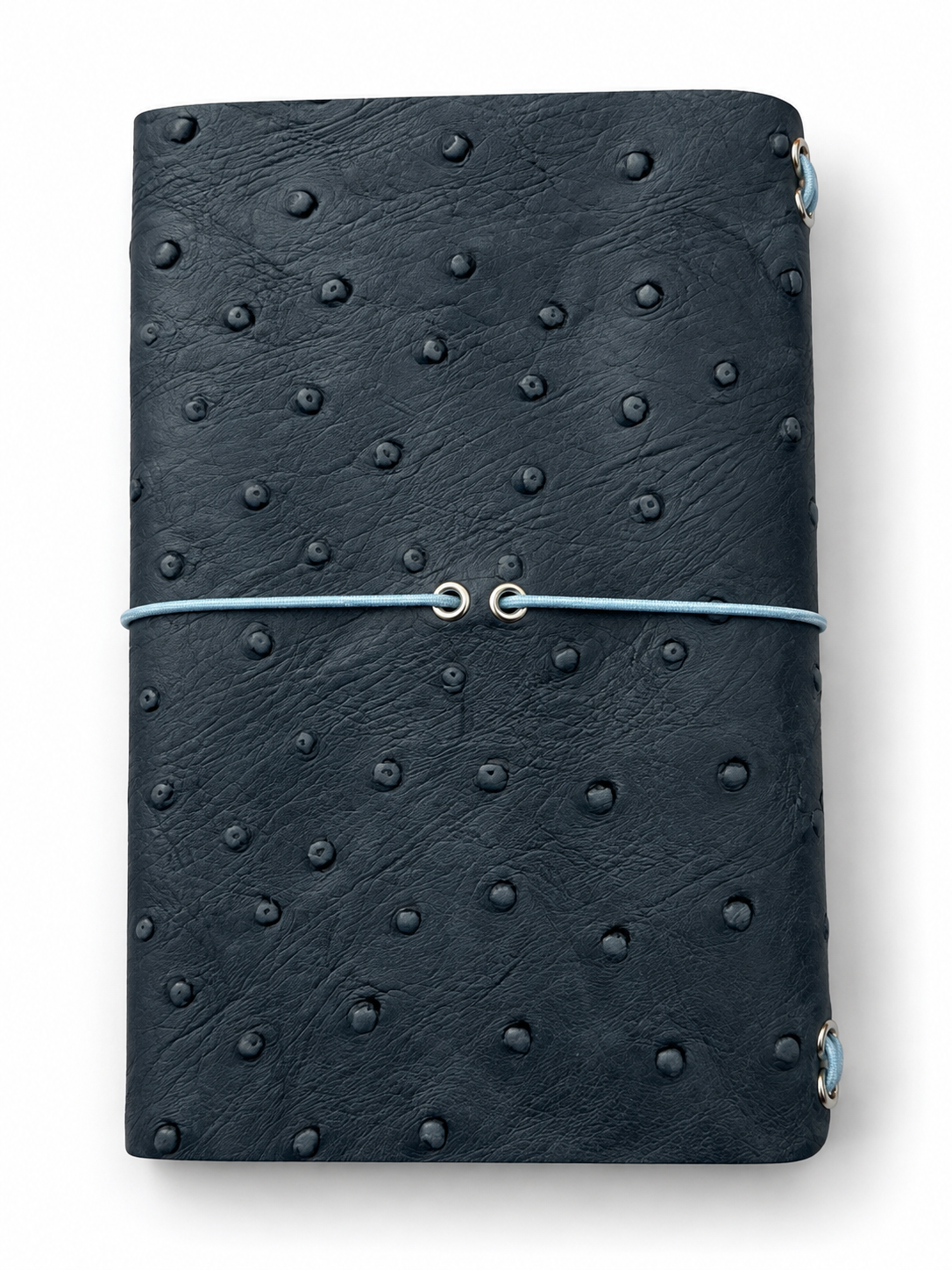 B7 Ostrich Cloudy Blue  – Ready Made